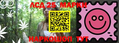 ешки Новодвинск