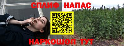 a pvp Новокубанск