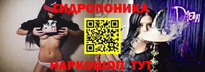 ешки Новодвинск
