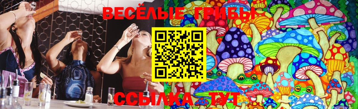Псилоцибиновые грибы Psilocybe Соль-Илецк