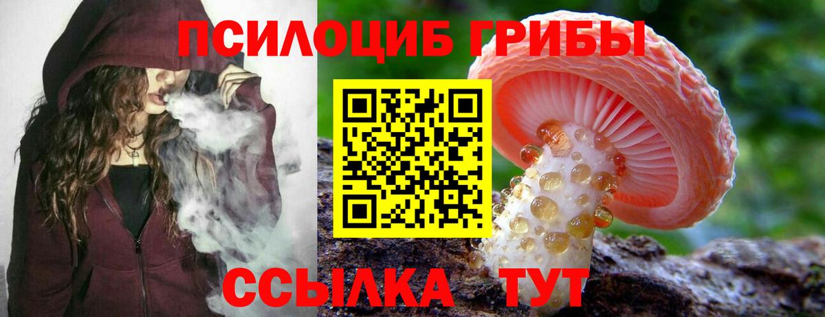 Псилоцибиновые грибы мицелий  Вход с VPN  Соль-Илецк 